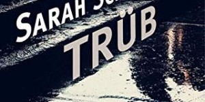 Beitragsbild des Blogbeitrags Sarah Schulman: Trüb