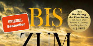 Beitragsbild des Blogbeitrags Chris Whitaker: Von hier bis zum Anfang