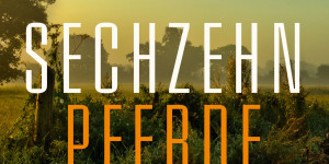 Beitragsbild des Blogbeitrags Greg Buchanan: Sechzehn Pferde