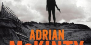 Beitragsbild des Blogbeitrags Adrian McKinty: Gun Street Girl