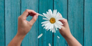 Beitragsbild des Blogbeitrags Dein neuer Job gefällt dir nicht?