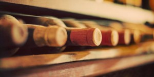 Beitragsbild des Blogbeitrags Karriereweg: Von der Werbeagentur aufs Weingut