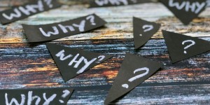 Beitragsbild des Blogbeitrags „Sinnstiftende Unternehmen kennen ihre Verantwortung“