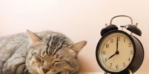 Beitragsbild des Blogbeitrags Zur Zeitumstellung: Tipps für den perfekten Schlafrhythmus 