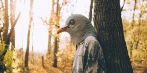 Beitragsbild des Blogbeitrags Polsterhorchexperte, Prinzessin, Ponymaster: Kuriositäten im Lebenslauf