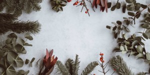 Beitragsbild des Blogbeitrags Es weihnachtet sehr: Unsere Spotify-Playlist für einen hitverdächtigen Advent
