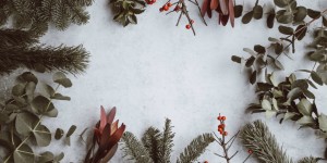 Beitragsbild des Blogbeitrags Es weihnachtet sehr: Unsere Spotify-Playlist für einen hitverdächtigen Advent 