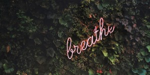 Beitragsbild des Blogbeitrags Resilienz in der Corona-Krise: Wie wir Stress-resistenter werden