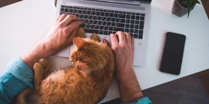 Beitragsbild des Blogbeitrags Arbeiten im Homeoffice: Was funktioniert gut und was nicht? Ein Erfahrungsbericht