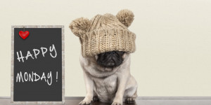 Beitragsbild des Blogbeitrags Neue Woche, neues Glück: unser Best-of Montags-Motivation!