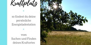 Beitragsbild des Blogbeitrags Vom Suchen und Finden eines Kraftortes – so findest du deine Energieladestation 