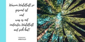 Beitragsbild des Blogbeitrags Warum Waldluft so gesund ist und was es mit imitierter Waldluft auf sich hat!