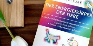 Beitragsbild des Blogbeitrags Energiearbeit – Bücher von Cyndi Dale 
