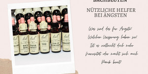 Beitragsbild des Blogbeitrags Bachblüten – nützliche Helfer bei Ängsten