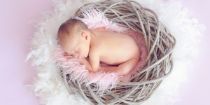 Beitragsbild des Blogbeitrags Die Babyfoto-Pinnwand (Fun Tool aus der Serie: Werkzeuge für mehr Spaß bei der Arbeit)