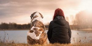 Beitragsbild des Blogbeitrags Wenn ein Hund dein Lehrer wäre (ein lustiges Gedankenspiel)