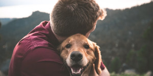 Beitragsbild des Blogbeitrags Freude und Gelassenheit im Alltag mit deinem Hund verwirklichen 