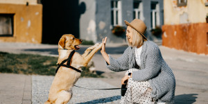 Beitragsbild des Blogbeitrags Diese 5 Fehler solltest du in Beziehungen zu Mensch & Hund vermeiden