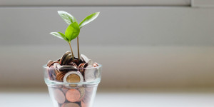 Beitragsbild des Blogbeitrags Finanzen für Einsteiger: Die besten Tipps und Tipps für finanzielle Freiräume