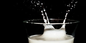 Beitragsbild des Blogbeitrags Milch und Milchprodukte – gesund oder schädlich? 