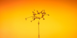 Beitragsbild des Blogbeitrags Rund um gesund mit Omega-3-Fettsäuren 