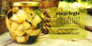 Beitragsbild des Blogbeitrags Zucchini einlegen ganz leicht gemacht! 