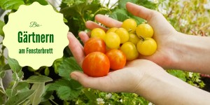 Beitragsbild des Blogbeitrags Gärtnern ohne Garten 