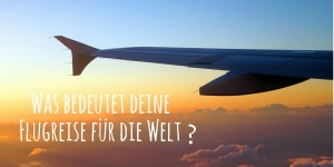 Beitragsbild des Blogbeitrags Fliegen kann tödlich sein