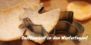 Beitragsbild des Blogbeitrags DIY-Stirnband & Mandarinen-Elche
