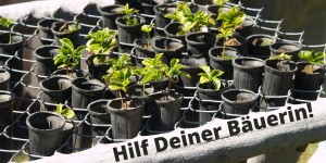 Beitragsbild des Blogbeitrags Selbsthilfe und Mithilfe für die Landwirtschaft
