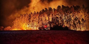 Beitragsbild des Blogbeitrags So könnte die Klimakatastrophe aussehen