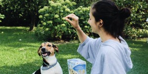 Beitragsbild des Blogbeitrags 2 Years of Love: Waldi 
