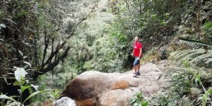 Beitragsbild des Blogbeitrags Medellín City Escape: Flusswanderung von La Catedral zum Salto del Angel und Chorro de las Campanas Wasserfall 