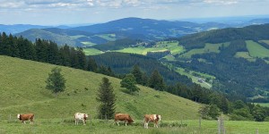 Beitragsbild des Blogbeitrags Sommerurlaub im steirischen Almenland: Mit dem Umweltzeichen im Naturhotel Bauernhofer 