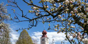 Beitragsbild des Blogbeitrags Blühende Oststeiermark: Aktiv- und Genussurlaub im Garten Österreichs 