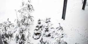 Beitragsbild des Blogbeitrags HOTEL REVIEW: Naturhotel Forsthofgut