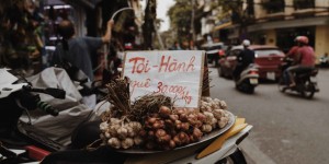 Beitragsbild des Blogbeitrags Vegan Travel Guide: Hanoi, Vietnam