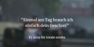 Beitragsbild des Blogbeitrags F1 2019: Zwei n00bs geben Vollgas!
