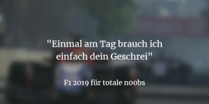 Beitragsbild des Blogbeitrags F1 2019: Zwei n00bs geben Vollgas! 