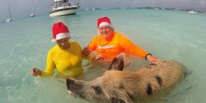 Beitragsbild des Blogbeitrags Schwimmende Schweine – Exuma/Bahamas