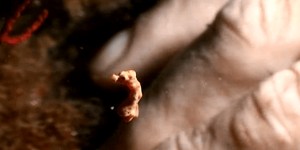 Beitragsbild des Blogbeitrags Schon einmal ein schwimmendes Seepferdchen gesehen?