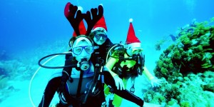 Beitragsbild des Blogbeitrags Tauchen mit den Blue Water Divers auf Grand Turk 