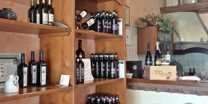 Beitragsbild des Blogbeitrags Il Pianzio di Selmin Soc. Agr.
