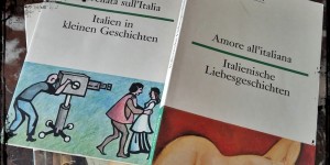 Beitragsbild des Blogbeitrags dtv zweisprachig 