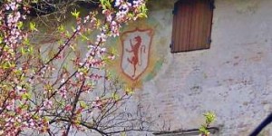 Beitragsbild des Blogbeitrags Die 12 schönsten Orte im Friaul