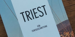 Beitragsbild des Blogbeitrags Triest für Fortgeschrittene