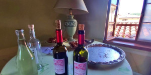 Beitragsbild des Blogbeitrags Weingut Gregoletto an der Prosecco Straße