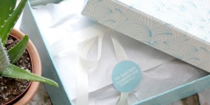 Beitragsbild des Blogbeitrags {DM Box} Wir entdecken - Schönes für Haut und Haar