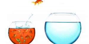 Beitragsbild des Blogbeitrags Bist du bereit für den Blue Ocean oder gehst du lieber in der Masse unter?