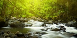 Beitragsbild des Blogbeitrags Anti-Stress (Teil 2): In einen anderen Denk-Modus wechseln